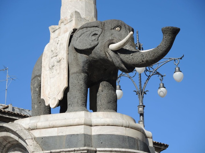 Elefant Catania