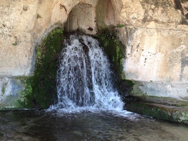 Venusbrunnen